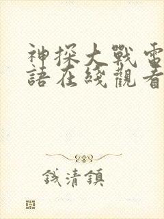 神探大战电影国语在线观看免费完整版封面