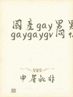 国产gay男男gaygaygv网站