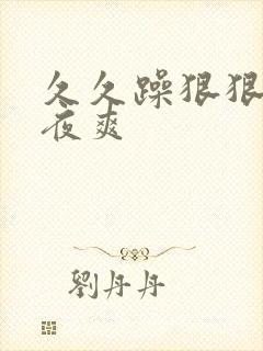 久久躁狠狠躁夜夜爽