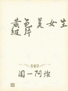 黄色美女生活一级片