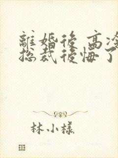 离婚后 高冷女总裁后悔了封面