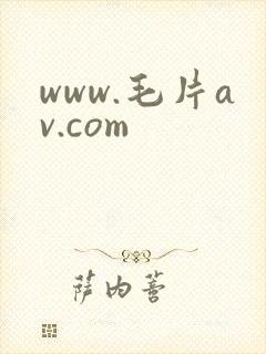www.毛片av.com