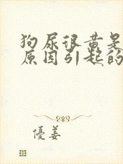 狗尿很黄是什么原因引起的