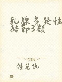 乳腺多发性实性结节3类