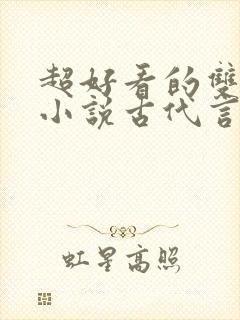 超好看的双男主小说古代言情封面