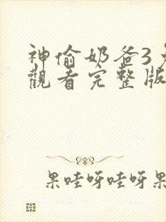 神偷奶爸3免费观看完整版国语版