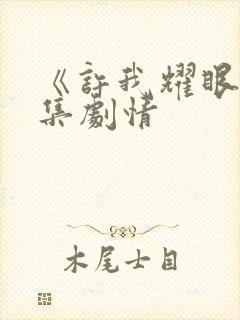 《许我耀眼》分集剧情