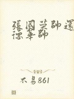 张国荣帅还是刘德华帅