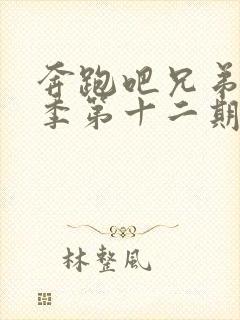 奔跑吧兄弟第二季第十二期