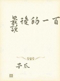 最后的一百天小说