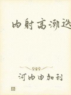 内射高潮迭起封面