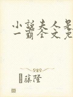 小说夫人是京城一霸全文免费阅读封面