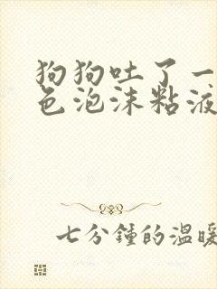 狗狗吐了一滩白色泡沫粘液应该咋办