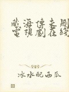 藏海传未删减版电视剧在线观看封面