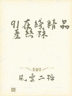 91在线精品国产丝袜