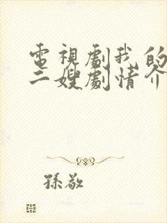 电视剧我的二哥二嫂剧情介绍