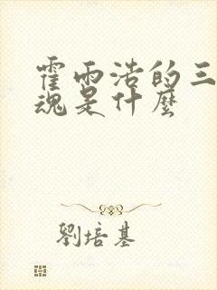 霍雨浩的三个武魂是什么封面