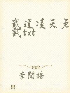 武道凌天免费下载txt