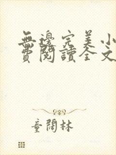 无边完美小说免费阅读全文最新章节