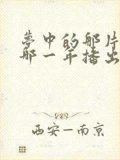 梦中的那片海是哪一年播出的