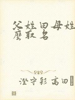 父姓田母姓刘怎么取名