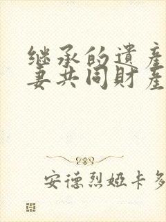 继承的遗产 夫妻共同财产