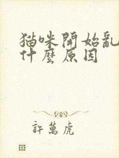 猫咪开始乱尿是什么原因