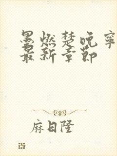 墨燃楚晚宁小说最新章节