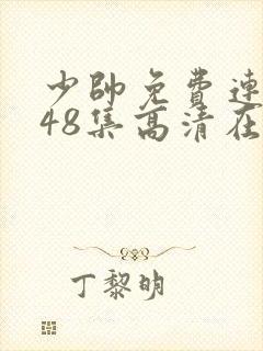 少帅免费连续剧48集高清在线观看封面