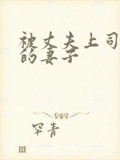 被丈夫上司侵犯的妻子封面