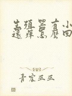 生殖器有小疙瘩还痒怎么回事