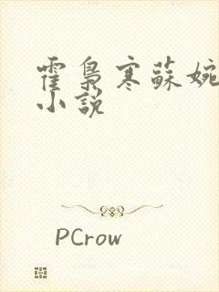 霍枭寒苏婉全文小说