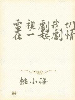 电视剧我们好好在一起剧情介绍