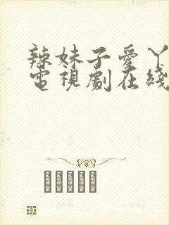 辣妹子爱丫爱丫电视剧在线观看封面