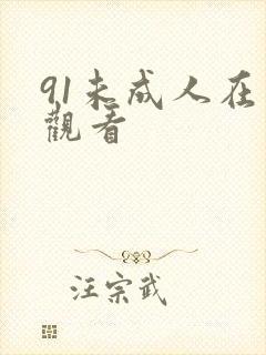 91未成人在线观看