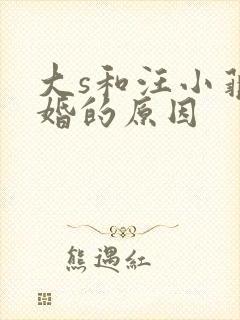 大s和汪小菲离婚的原因封面