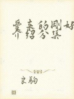 爱来的刚好剧情介绍分集