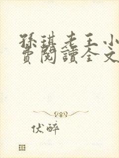 孙琪老王小说免费阅读全文无弹窗封面