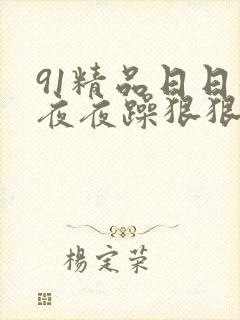 91精品日日躁夜夜躁狠狠躁