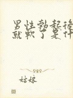 男性勃起后很快就软了是什么原因封面