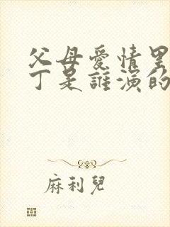 父母爱情里的老丁是谁演的封面