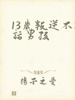 13岁叛逆不听话男孩