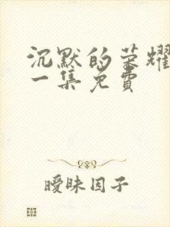 沉默的荣耀最后一集免费