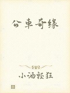 公车奇缘