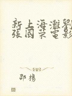 新上海滩刘德华张国荣电影