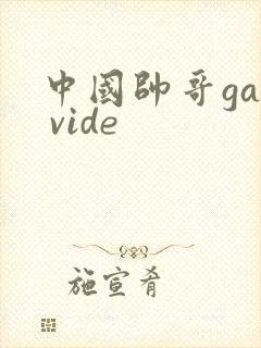 中国帅哥gay vide封面