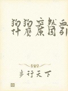 狗狗突然血尿是什么原因引起的