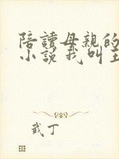 陪读母亲的日子小说 我叫王梅封面