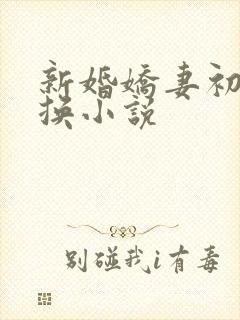 新婚娇妻初尝交换小说
