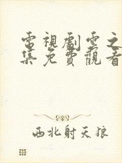 电视剧云之羽全集免费观看